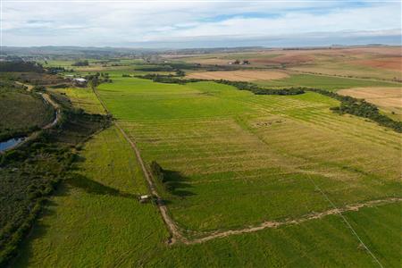 Farm For Sale in Riversdale Rural, Riversdale, Western Cape - M120839