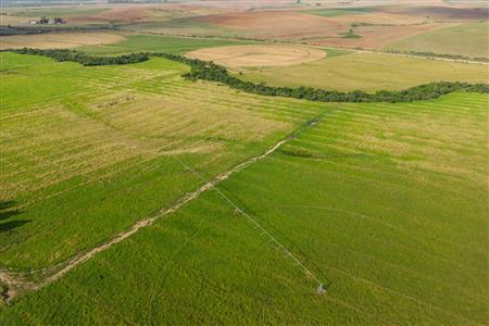 Farm For Sale in Riversdale Rural, Riversdale, Western Cape - M120839