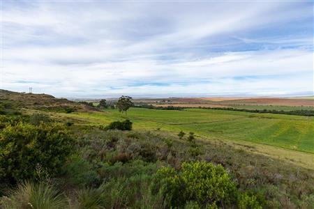 Farm For Sale in Riversdale Rural, Riversdale, Western Cape - M120839