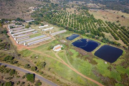 False - Farm for sale in Hekpoort, Krugersdorp - M120863