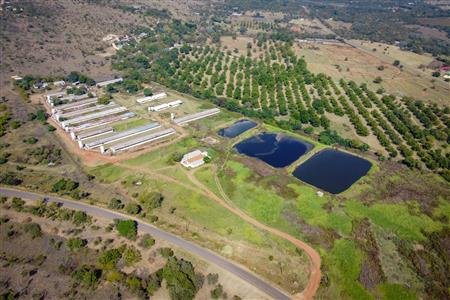 False - Farm for sale in Hekpoort, Krugersdorp - M120863