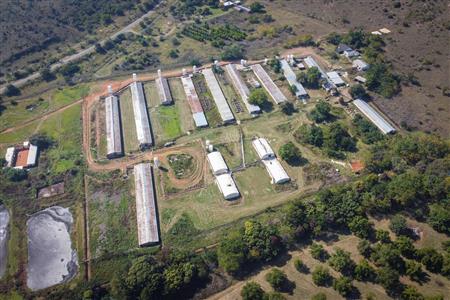 False - Farm for sale in Hekpoort, Krugersdorp - M120863