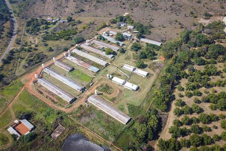False - Farm for sale in Hekpoort, Krugersdorp - M120863