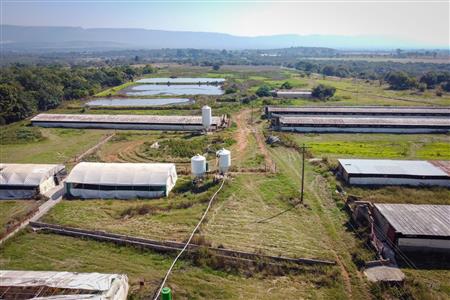 False - Farm for sale in Hekpoort, Krugersdorp - M120863