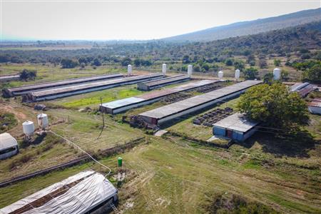 False - Farm for sale in Hekpoort, Krugersdorp - M120863