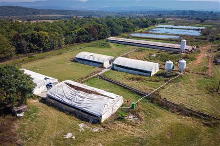 False - Farm for sale in Hekpoort, Krugersdorp - M120863