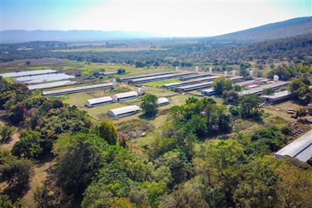 False - Farm for sale in Hekpoort, Krugersdorp - M120863