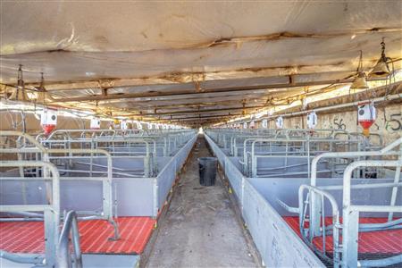 False - Farm for sale in Hekpoort, Krugersdorp - M120863