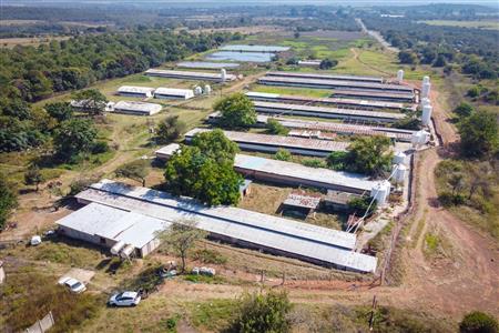 False - Farm for sale in Hekpoort, Krugersdorp - M120863