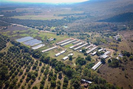 False - Farm for sale in Hekpoort, Krugersdorp - M120863