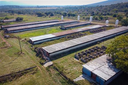 False - Farm for sale in Hekpoort, Krugersdorp - M120863