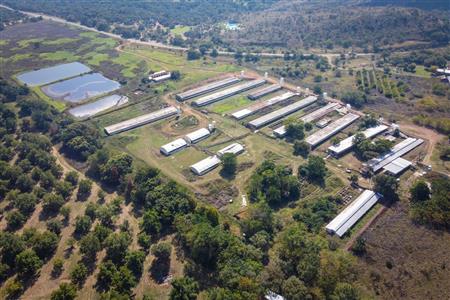 False - Farm for sale in Hekpoort, Krugersdorp - M120863