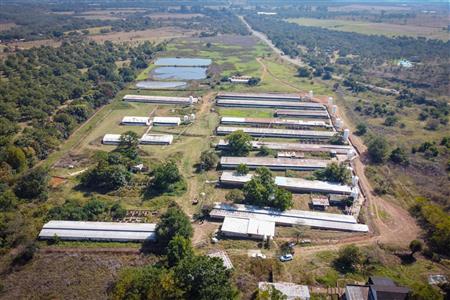 False - Farm for sale in Hekpoort, Krugersdorp - M120863
