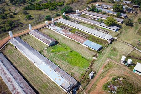 False - Farm for sale in Hekpoort, Krugersdorp - M120863