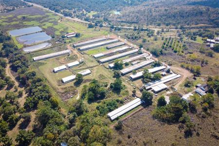 False - Farm for sale in Hekpoort, Krugersdorp - M120863