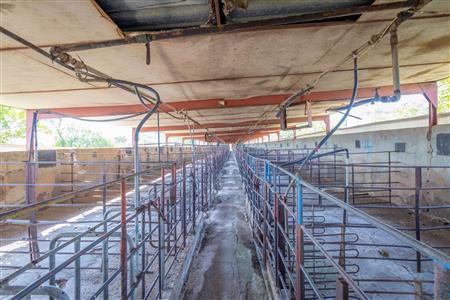 False - Farm for sale in Hekpoort, Krugersdorp - M120863