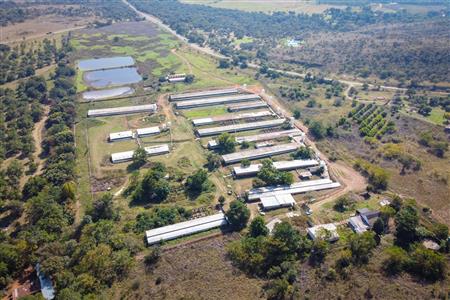 False - Farm for sale in Hekpoort, Krugersdorp - M120863
