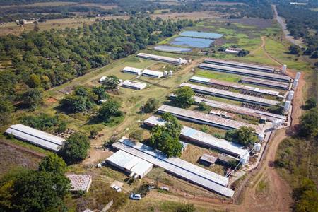 False - Farm for sale in Hekpoort, Krugersdorp - M120863