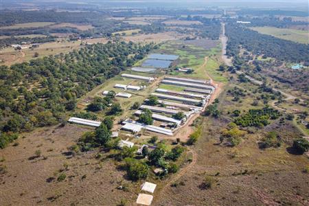 False - Farm for sale in Hekpoort, Krugersdorp - M120863