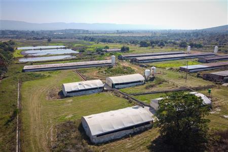 False - Farm for sale in Hekpoort, Krugersdorp - M120863