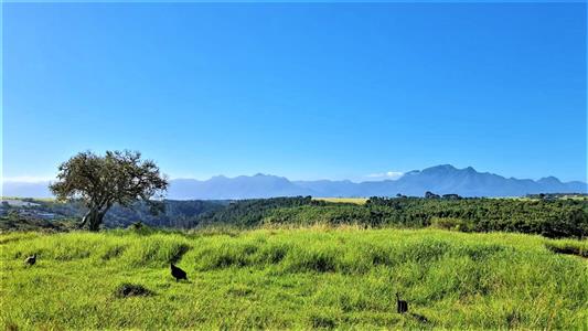 False - Vacant Land for sale in Oubaai, George - M122987
