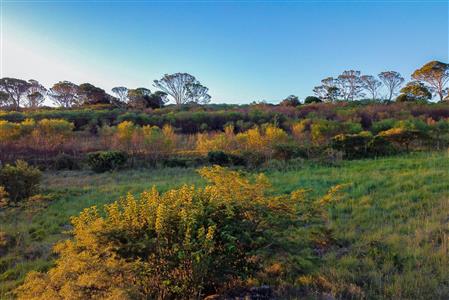 False - Commercial Property For Sale in Cintsa East, Cintsa, Eastern Cape - M121053