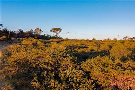 False - Commercial Property For Sale in Cintsa East, Cintsa, Eastern Cape - M121053
