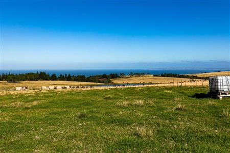 False - Farm For Sale in Glentana, Groot Brakrivier, Western Cape - M121346