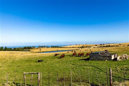 False - Farm For Sale in Glentana, Groot Brakrivier, Western Cape - M121346