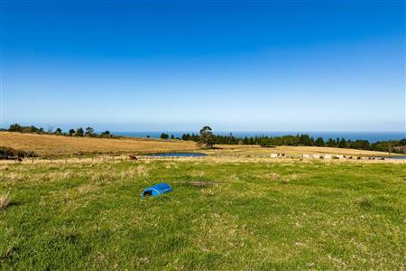 False - Farm For Sale in Glentana, Groot Brakrivier, Western Cape - M121346