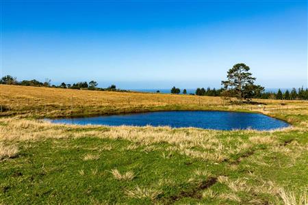 False - Farm For Sale in Glentana, Groot Brakrivier, Western Cape - M121346