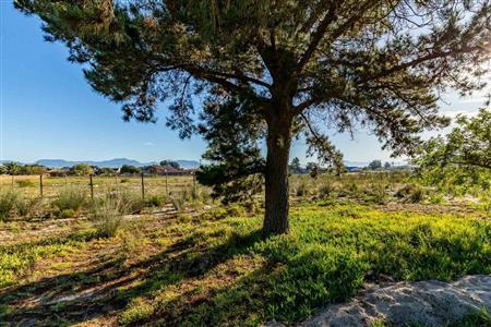 False - House For Sale in Albertinia, Western Cape - M121432
