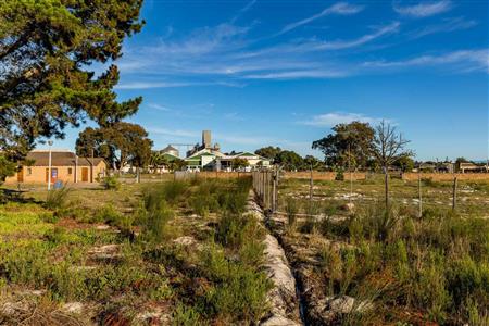 False - House For Sale in Albertinia, Western Cape - M121432