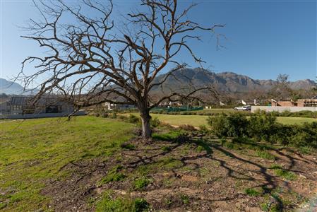False - Vacant Land For Sale in Paradyskloof, Stellenbosch, Western Cape - M121575