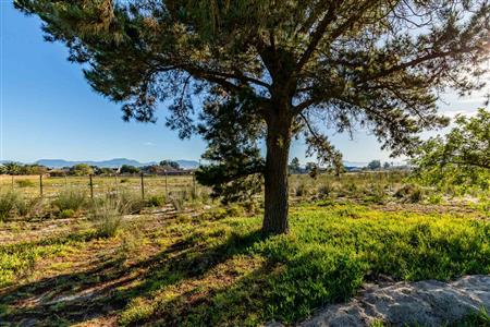 False - Vacant Land For Sale in Albertinia, Western Cape - M124180