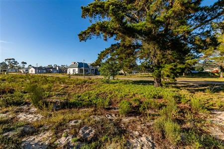 False - Vacant Land For Sale in Albertinia, Western Cape - M124180