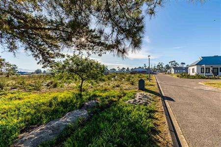 False - Vacant Land For Sale in Albertinia, Western Cape - M124180