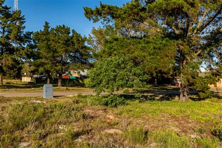 False - Vacant Land For Sale in Albertinia, Western Cape - M124180