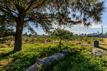 False - Vacant Land For Sale in Albertinia, Western Cape - M124180
