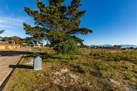 False - Vacant Land For Sale in Albertinia, Western Cape - M124180