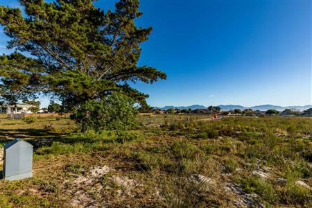 False - Vacant Land For Sale in Albertinia, Western Cape - M124180