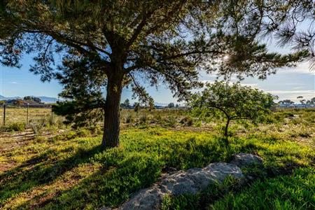 False - Vacant Land For Sale in Albertinia, Western Cape - M124180