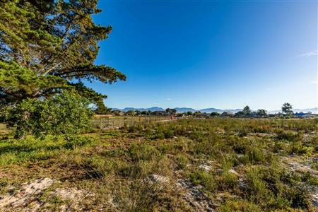 False - Vacant Land For Sale in Albertinia, Western Cape - M124180