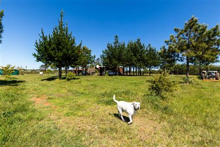 False - Farm Unavailable in Roodefontein AH, Plettenberg Bay Rural, Plettenberg Bay, Western Cape - M125107