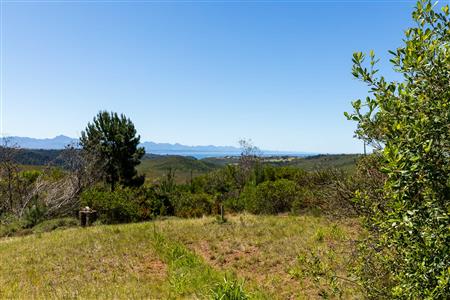 False - Farm Unavailable in Roodefontein AH, Plettenberg Bay Rural, Plettenberg Bay, Western Cape - M125107