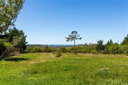 False - Farm Unavailable in Roodefontein AH, Plettenberg Bay Rural, Plettenberg Bay, Western Cape - M125107