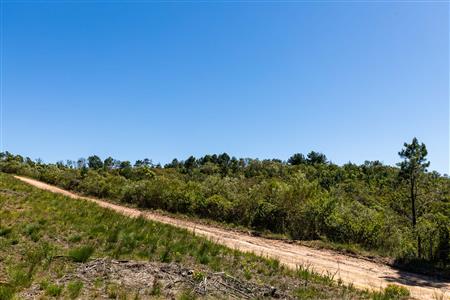 False - Farm Unavailable in Roodefontein AH, Plettenberg Bay Rural, Plettenberg Bay, Western Cape - M125107