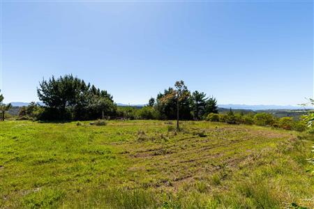 False - Farm Unavailable in Roodefontein AH, Plettenberg Bay Rural, Plettenberg Bay, Western Cape - M125107