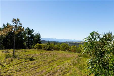 False - Farm Unavailable in Roodefontein AH, Plettenberg Bay Rural, Plettenberg Bay, Western Cape - M125107