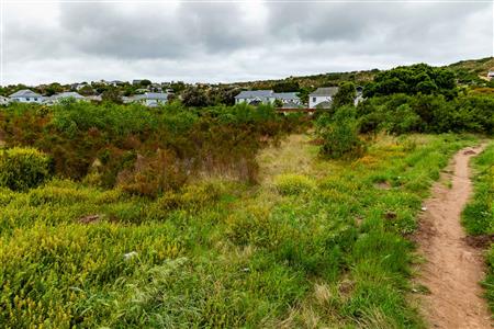 Vacant Land For Sale in Meedingsride, Sedgefield, Western Cape - M124704